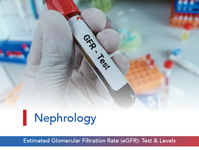 Estimated Glomerular Filtration Rate (eGFR): Test & Levels