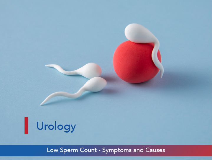 Low Sperm Count